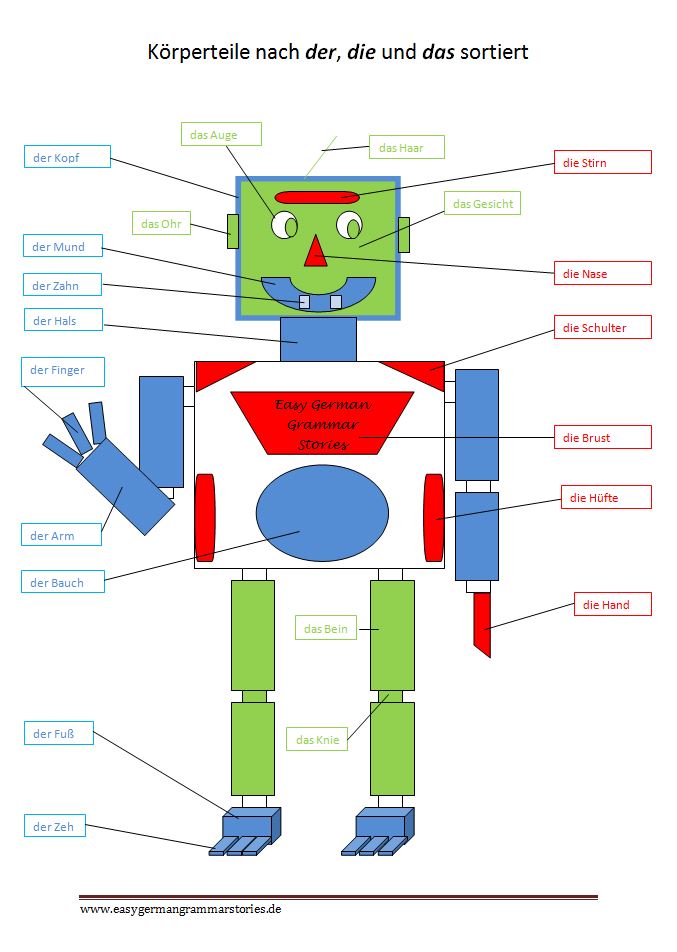 Remembering body parts in German made easy